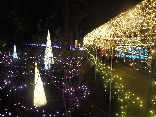 ちょっと列ができていましたが、5分程度の待ち<br /><br />http://enoshima-seacandle.jp/garden/images/map.pdf<br />この地図で、右の入り口から左のSea Candleに向かって歩いていきます<br /><br />