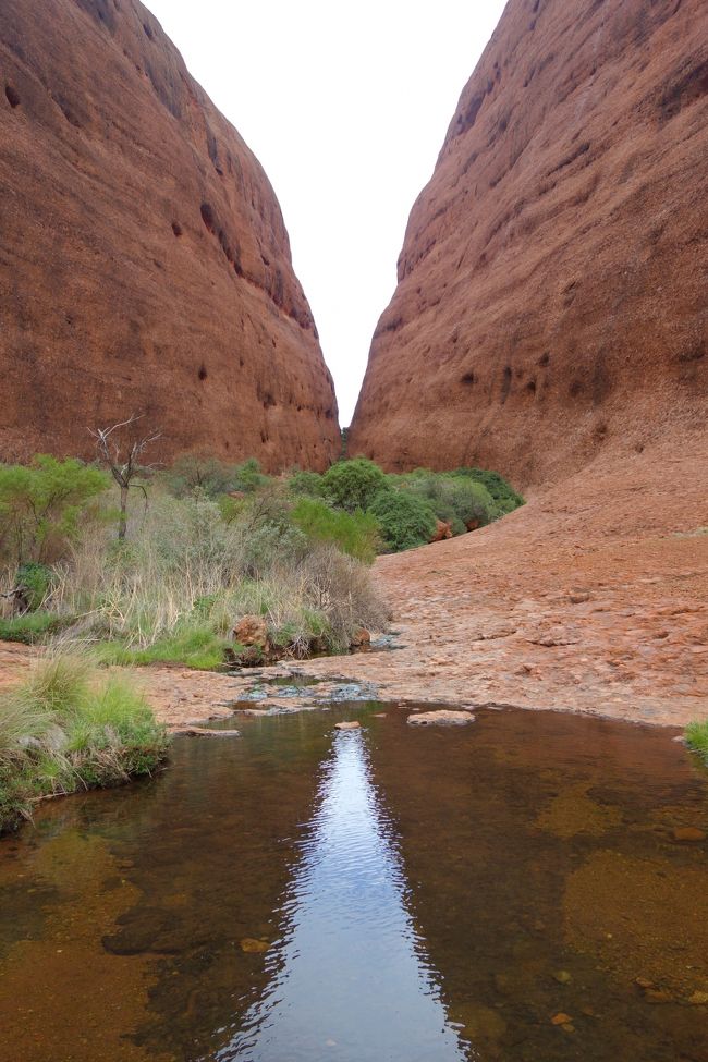 水たまりにも映ってる