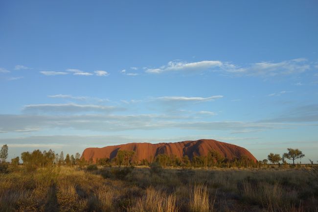朝!!!って感じ！