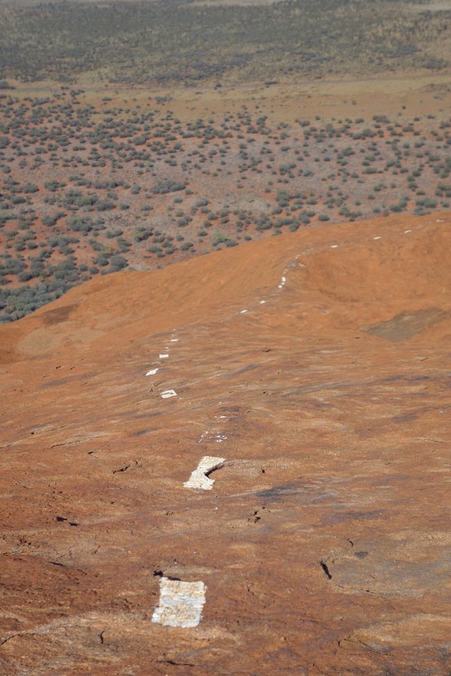 これ、一応目印…<br />