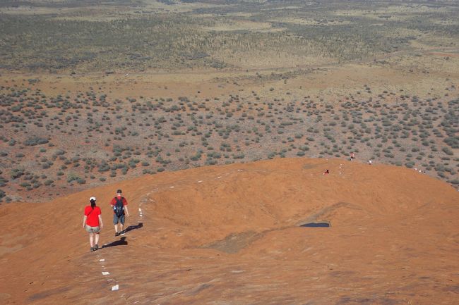 下りも怖いけど、<br />上りで高さには慣れたかな…<br />高所恐怖症の人は最初注意です。