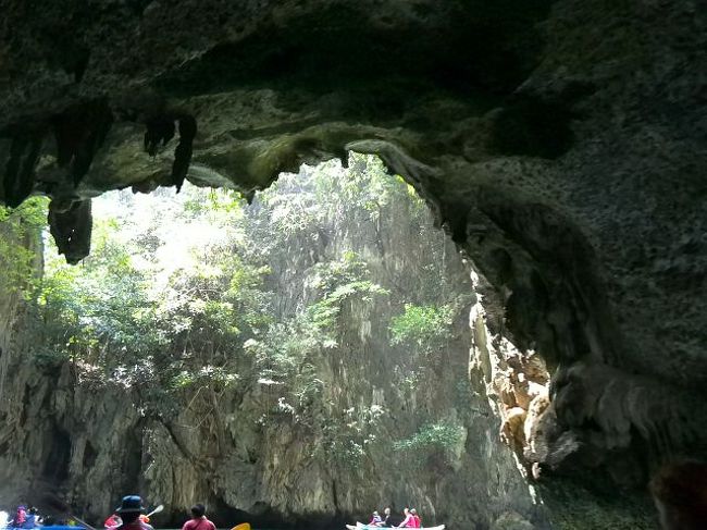 て、天井にコウモリっっ！