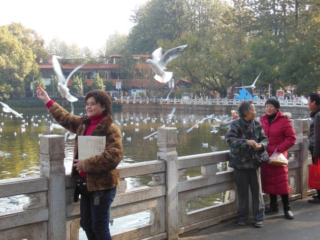 写真は湖畔で憩う人々。<br /><br />安倍首相の靖国参拝で、中国の対日感情も心配したのですが、昆明の街中やホテル・機内などでは、特にそういうこともありませんでした。<br /><br />みんな忙しく、そんなことに構っていられるほど暇ではない･･･といった感も。