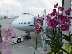 ANA134便　沖縄/那覇 18:05→東京/羽田 20:25 B747-400(JA8961) 
　 
帰りの機材もジャンボジェットです 
手前の花も那覇空港らしくて好きです 