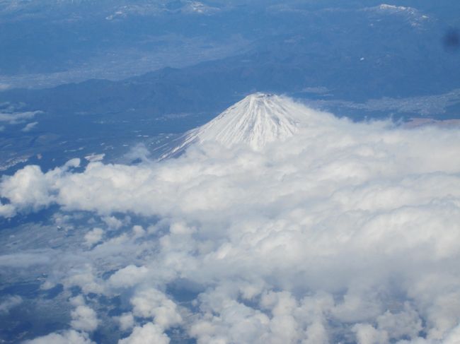 11時半羽田発のＡＮＡで出発！<br />窓側2人席を事前に指定し、真っ白できれいな富士山をパシャ。
