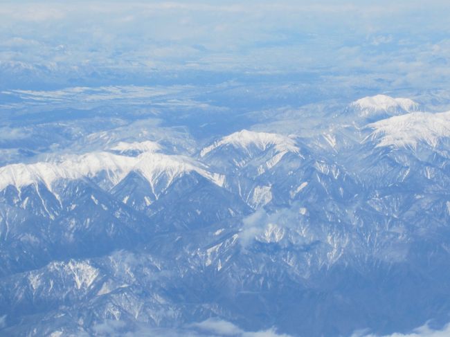 冬ならではの景色を眺めながら、那覇空港へ向かいます。