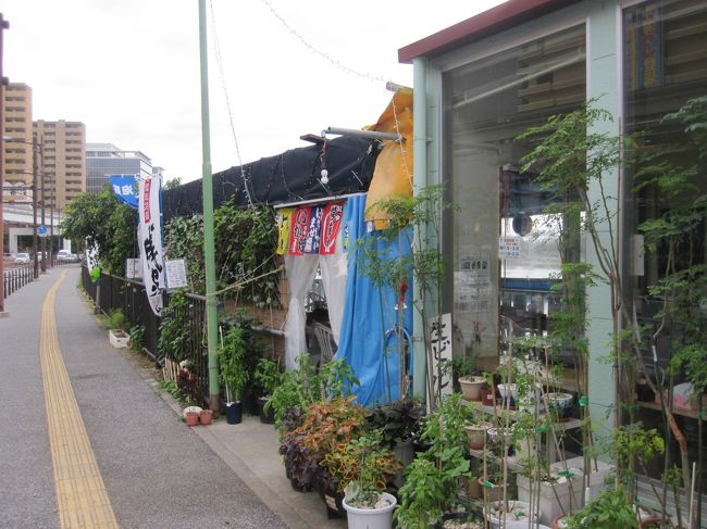 那覇空港に着いてから、レンタカーの送迎がなかなか来なく、借りるのに時間がかかりました。<br />ＨＩＳ専用のレンタカー会社のようでしたが、一番混んでいました。<br />車に乗ったのがすでに3時。<br />遅い昼食を食べに来たのは、壺川さかな。