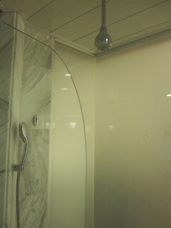 シャワーが二つもあり、真上に固定されたシャワーは国内では初めて見ましたが、シャンプーの時とても楽でした。