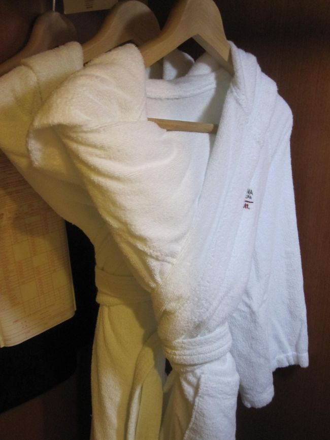 バスローブは着慣れていないので使用せず。