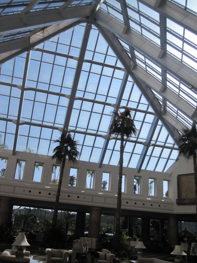 天井が明るくて開放的。