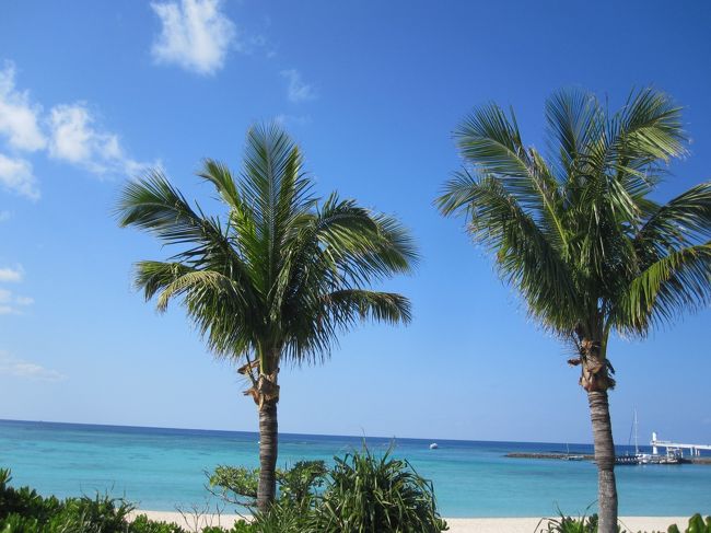 とてもきれいな海でした。