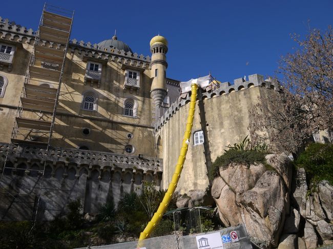 木がなくなると、ペーナ国立宮殿 （Palacio Nacional da Pena）登場！