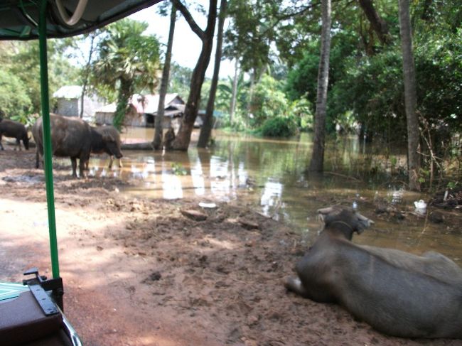 トンレサップ湖の船着き場からシェムリアップの幹線道路<br />行きも大変だったけど、帰りも同じく洪水の中をトゥクトゥクで進む。