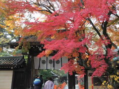 赤と黄色に彩られた今宮神社の門前。
