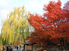 そして、円山公園。
のんびりした空気が流れています。
紅葉と、ストリートミュージシャンのクラシックギターの音がマッチしていました。癒されます。