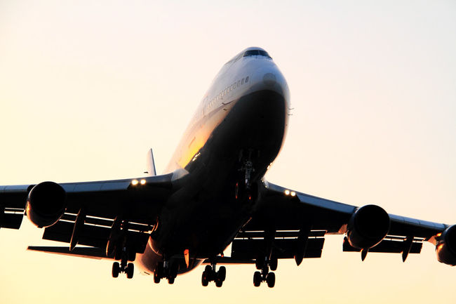 Thanks JUMBO！ 伊丹にANAのジャンボがやって来る！ー8年ぶりの飛来に