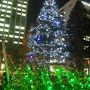 Christmas Illumination　（千葉工業大学構内）点灯　☆津田沼からの帰り道