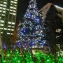 Christmas Illumination　（千葉工業大学構内）点灯　☆津田沼からの帰り道