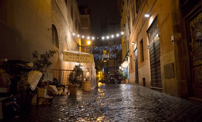 ゴミさえも背景の一部に思えてきます。