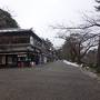 小雪舞う兼六園。ことじ灯篭より雪吊りの写真を撮る人のほうが多かった。