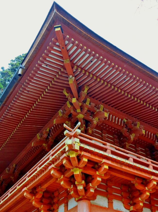 山王総本宮/日吉大社 に参拝 (西本宮本殿;国宝) ☆マサル*神聖な猿がいて