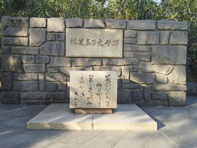 売れ筋アイテムラン 桜島の観光スポットを巡って ※鹿児島県鹿児島市』桜島・古里温泉 複数作家