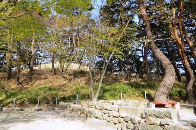 2013春、韓国旅行記26(6):4月9日(4):慶州、仏国寺、大雄殿、観音殿、毘盧殿、毘盧遮那仏、羅漢殿