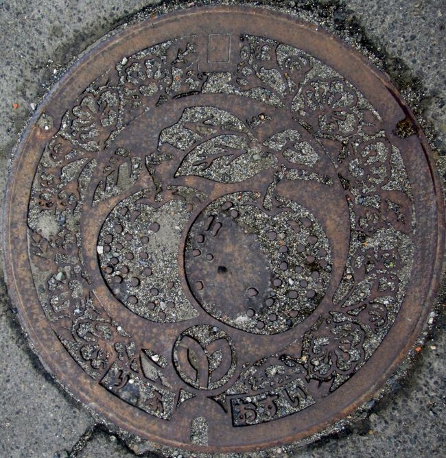 宮城 松島：みかん