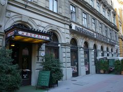 オペラ座の見学ツアーが終わったのは16時半頃でしたが、ウィーンへ戻らなければならないので少し早めの夕食を食べることに。地球の歩き方に掲載されていたハンガリー料理のカルパティアというお店へ移動します。お店は通りから少し入ったところにあるので音楽がなければとても静か。