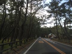 11:30　岐志漁港を出発し、呼子を目指します。


途中、虹の松原を通り、