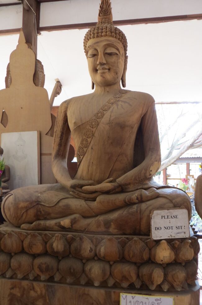 2013冬、タイ王国旅行記2(30/34)：2月6日(5)：ダムヌン