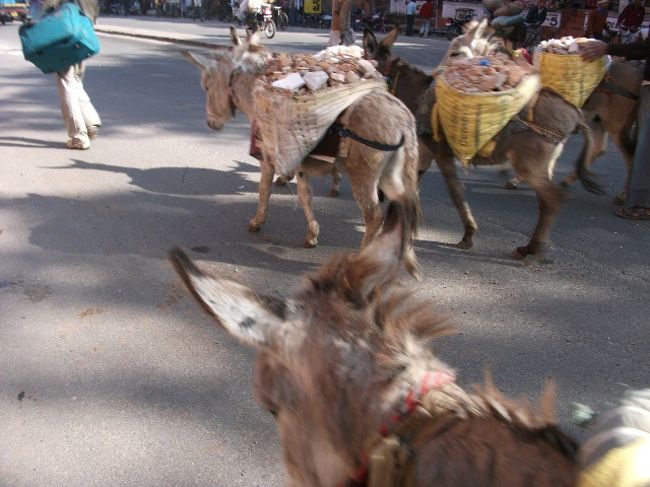 Siredyodhi Bazaar通りで見かけたロバ<br />ロバも仕事中。