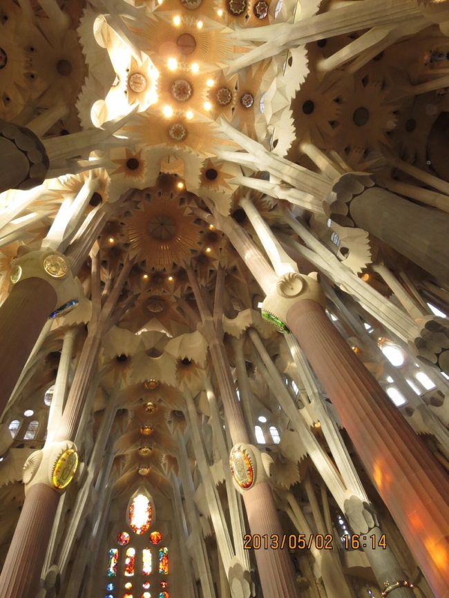 聖堂の内部。首を90~180度回転。<br />森の樹林をイメージしています。