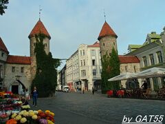 朝は観光客もまばらですが、昼間は観光客がたくさんでウンザリ。