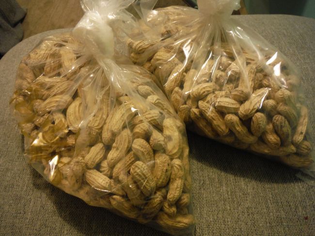 これは超オススメ、黒金剛花生☆<br /><br />一見普通のピーナッツなのですが、割ってみるとピーナッツの薄皮が真っ黒！<br />コクがあって風味豊かで・・・もう普通のピーナッツが食べられなくなりそう(^-^)