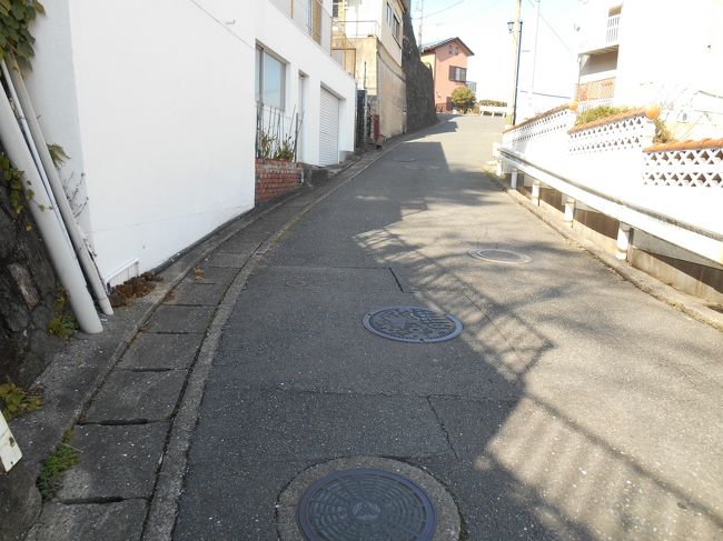 愛宕神社までの坂は傾斜がかなりキツかったです…いい運動になりました。