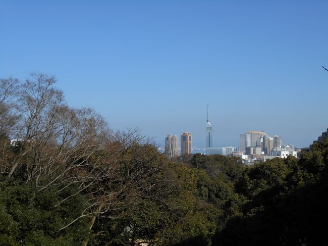 だんだん高くなってきました。