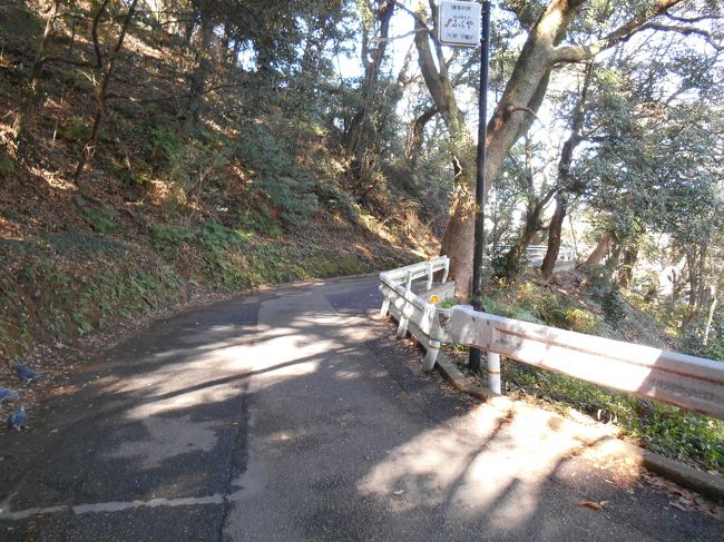 ここのあたりは完全に山道です。