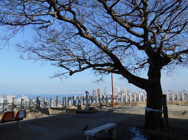 椅子に座ってゆっくりするのもよさそう。