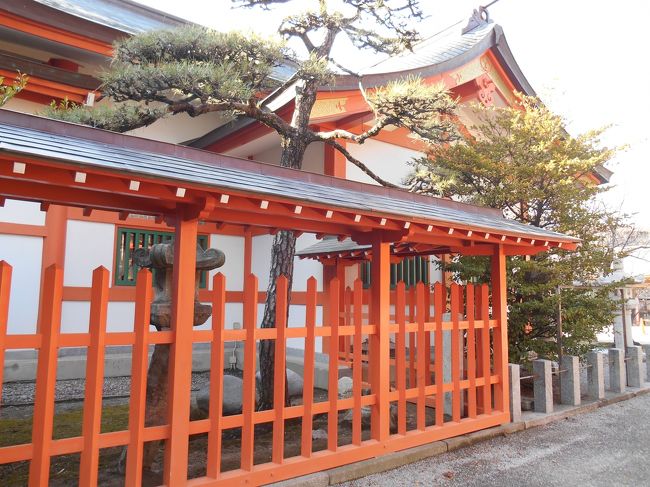 やっぱりすごく奇麗な色。