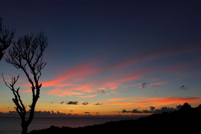 ＊綺麗でした＊