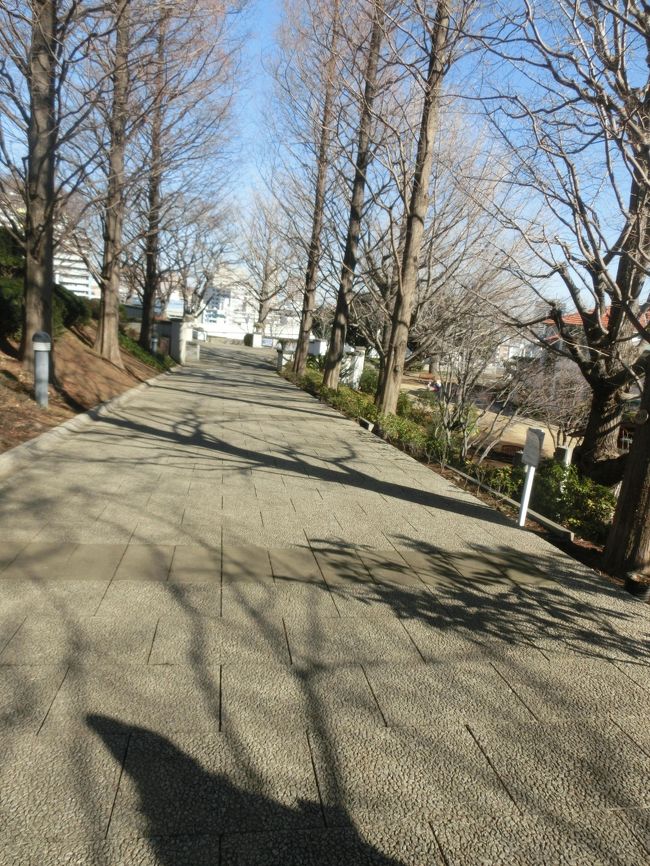 次の館に向かいます。<br />外交官の家を出ると庭から直接ブラフ１８番館の家につながる道があります。案内もあるしすぐにわかります(*^_^*)<br /><br />外交官の庭を出るとこんな坂がありますので下ります