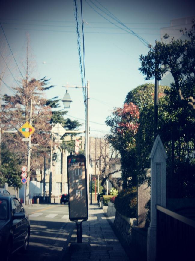 ここからはひたすらまっすぐです。