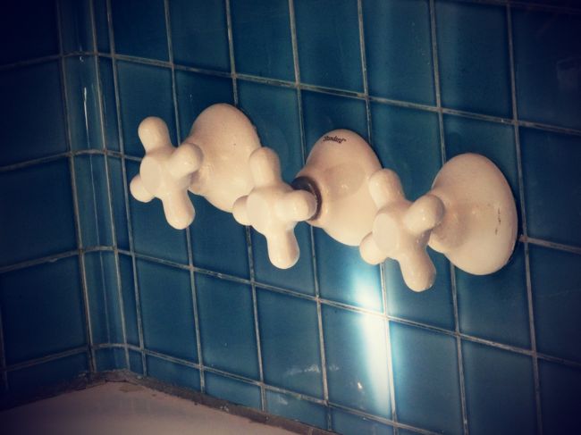 蛇口も違いますよね。