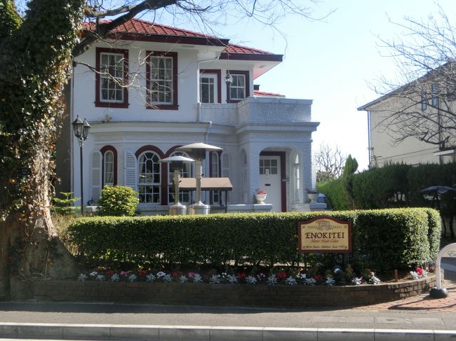 エノキ邸？ごはん屋さんみたいでしたが休業日