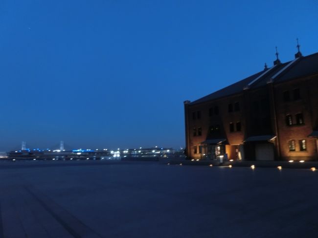 暗くなるとライトアップが始まりました♪