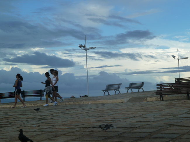 三々五々<br />連れだって<br />散歩