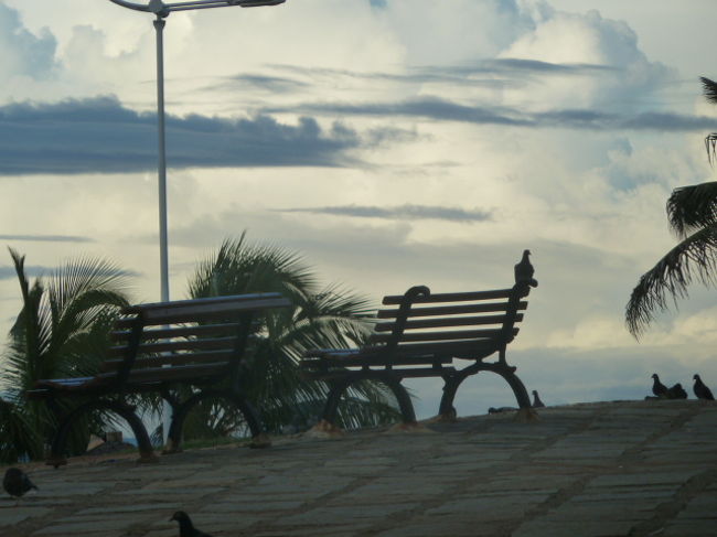 海に向かって<br />ベンチがある。