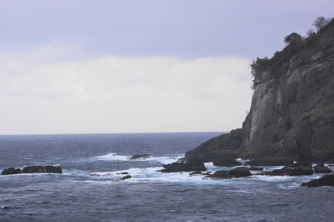 鳥糞岩<br /><br />ウミウの糞で岩が白くなったということで「鳥糞岩」<br />少し見にくいのですが、断崖のところが白っぽくなっています。<br /><br />越前岬水仙ランドに入るところに駐車スペースがあります。