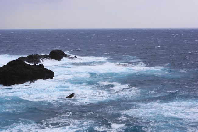 越前岬にやってきました。